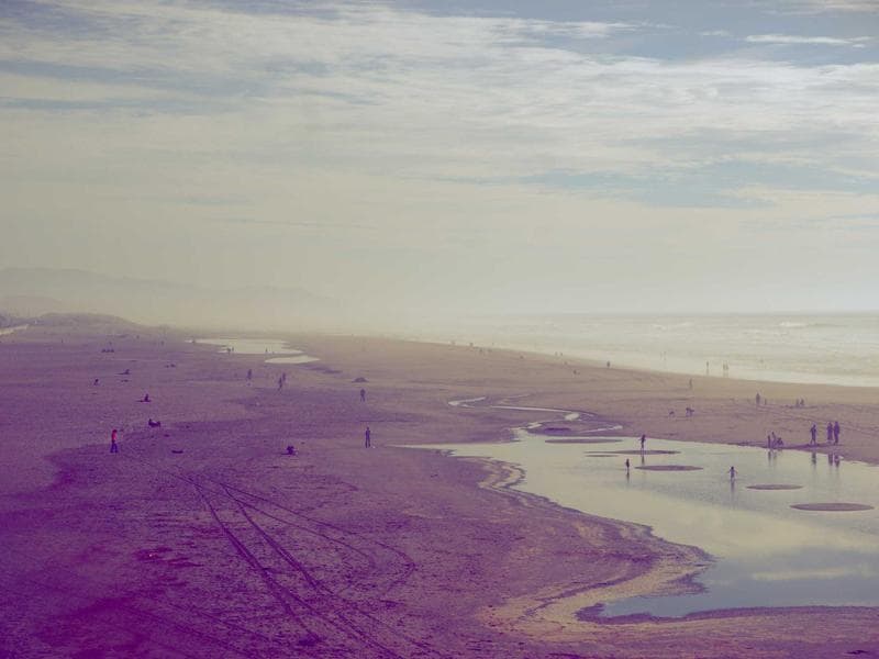 Top 10 Licensed Handmade Bronze Chickens