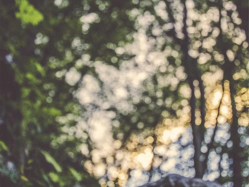 Top 10 Exclusive Resorts